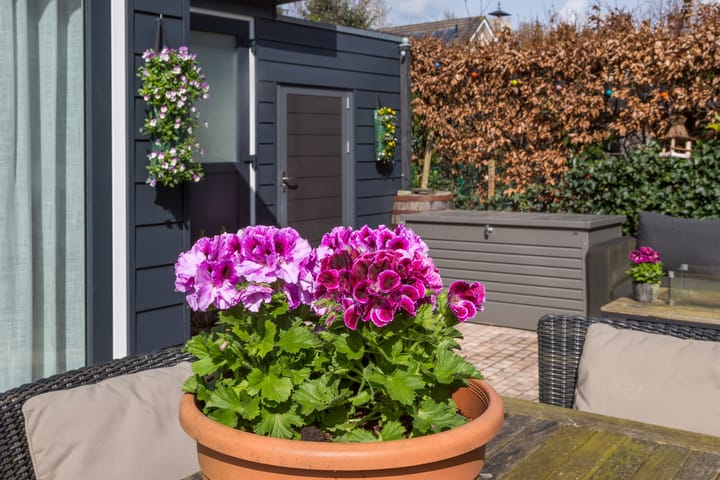 Photo 19 of Maria Dermoûtlaan 1