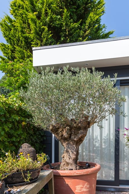 Photo 41 of Maria Dermoûtlaan 1