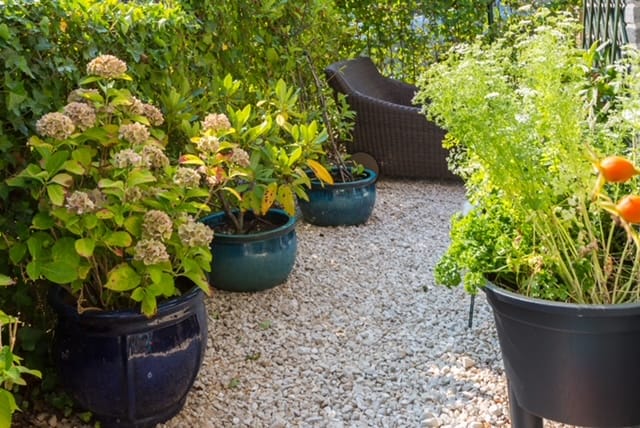 Photo 47 of Maria Dermoûtlaan 1