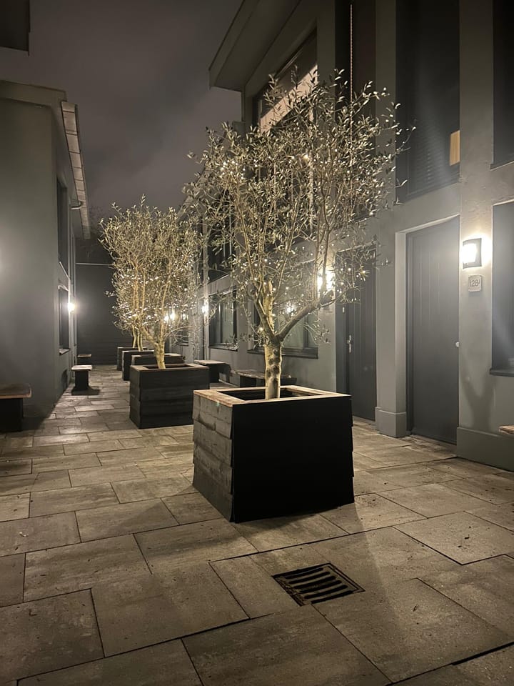 Photo 25 of Lange Herenvest 128-A