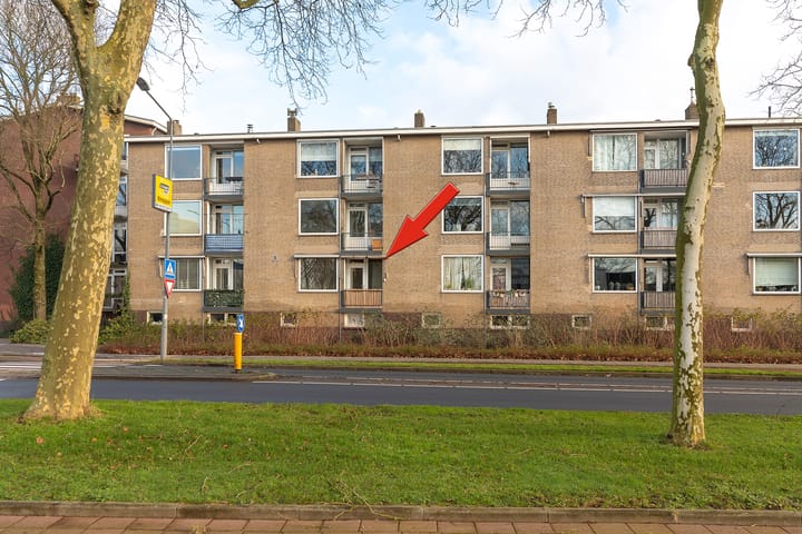 Foto 18 van Wolvenlaan 293