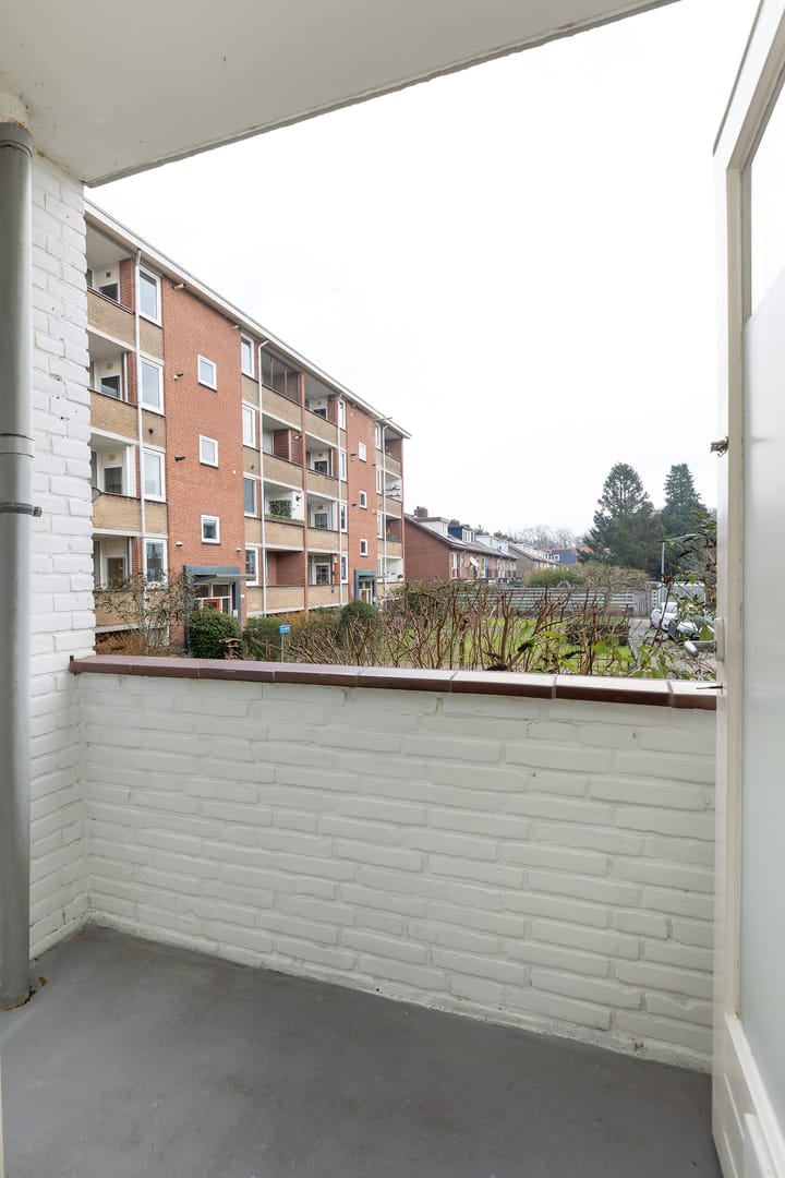 Foto 19 van Wolvenlaan 293