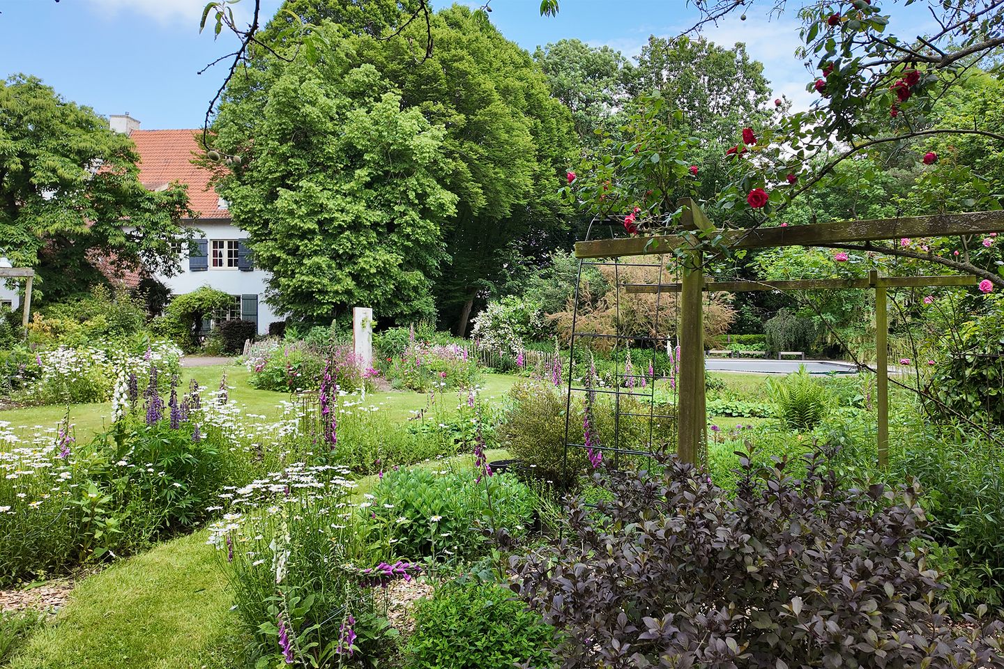 Photo 50 of Hazeldonk 1