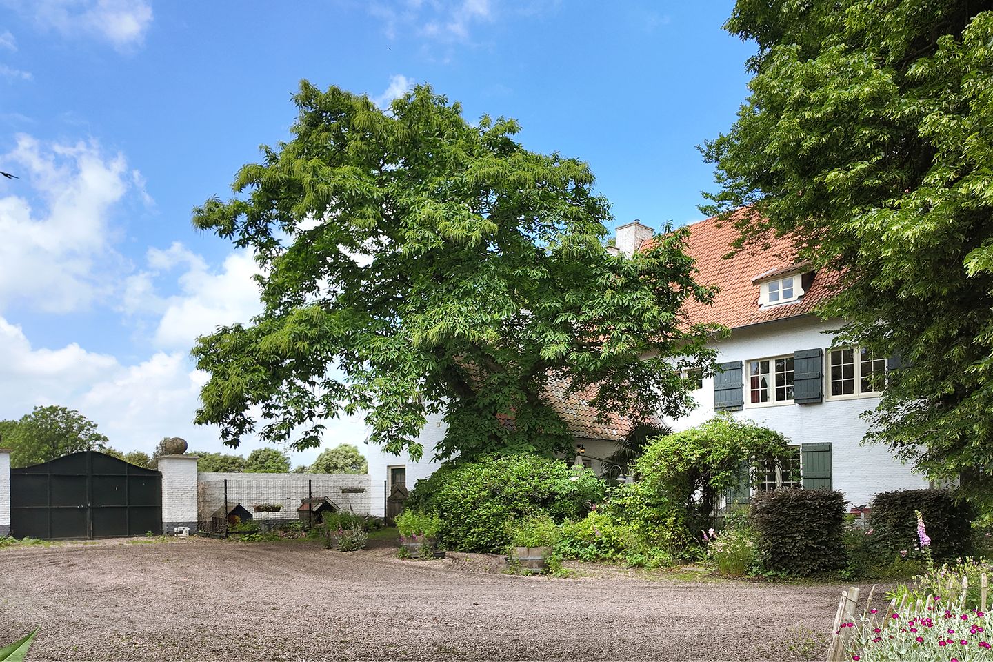 Photo 59 of Hazeldonk 1