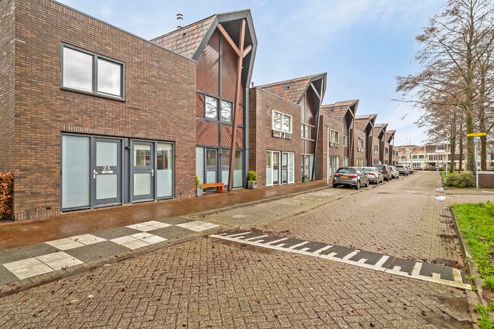 Foto 5 van Maassingel 25