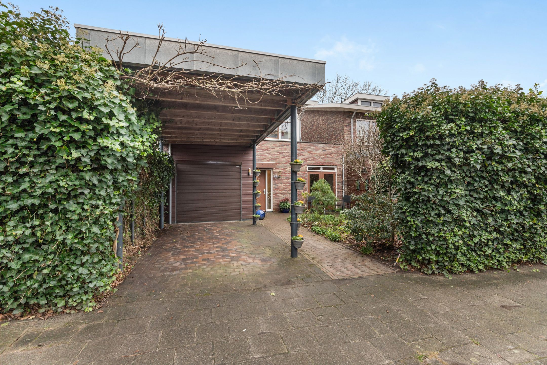 Foto 24 van Koningsvaren 22