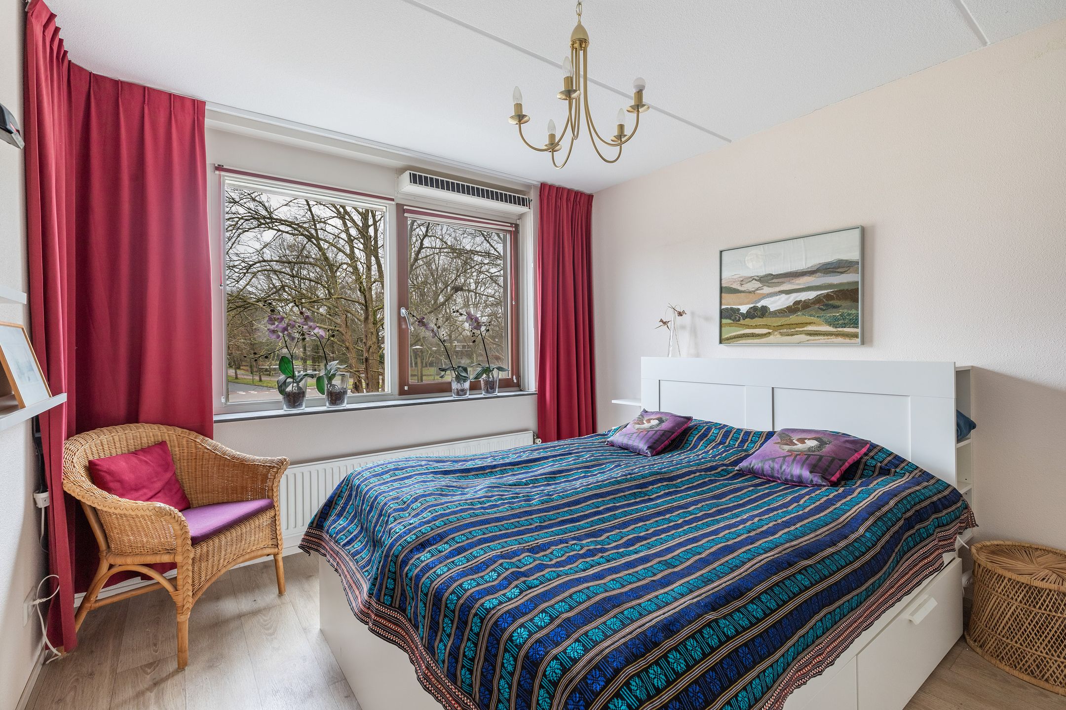 Foto 12 van Koningsvaren 22