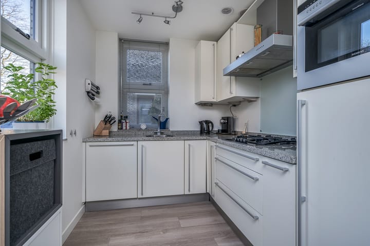 Foto 17 van Arica 90