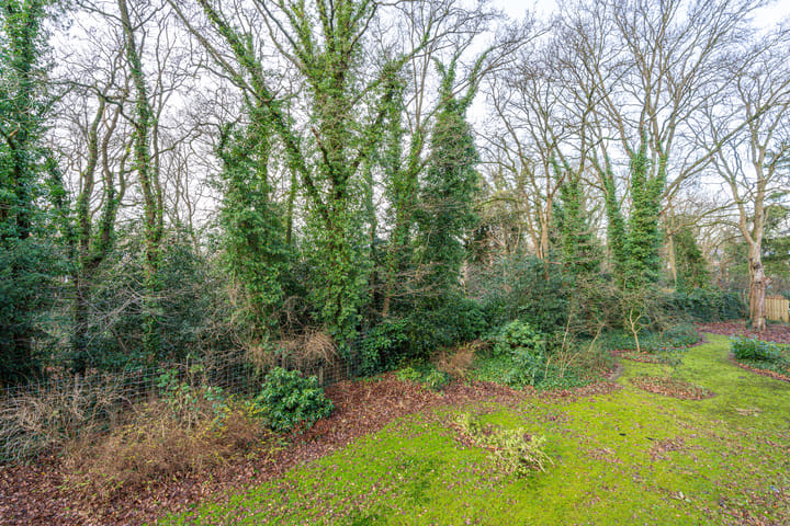 Foto 10 van Dr. s'Jacoblaan 11