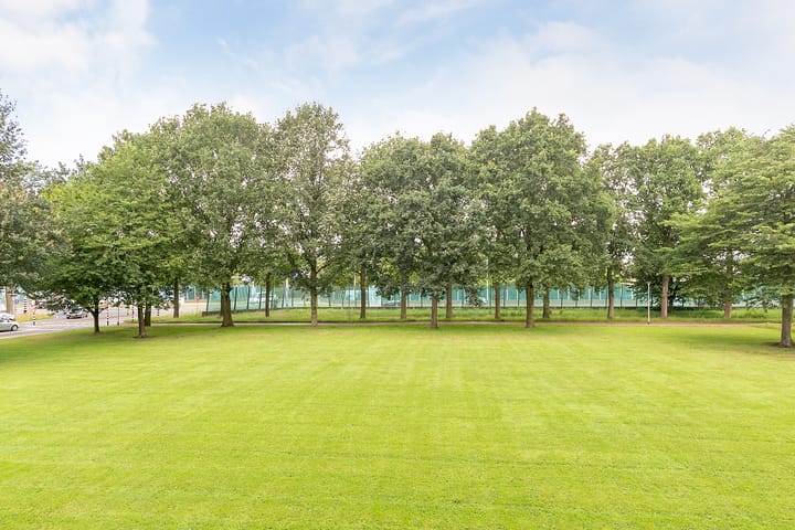 Foto 19 van van der Scheerstraat 31