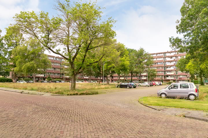 Foto 30 van van der Scheerstraat 31