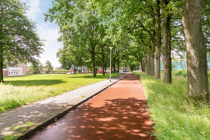 Foto 35 van van der Scheerstraat 31