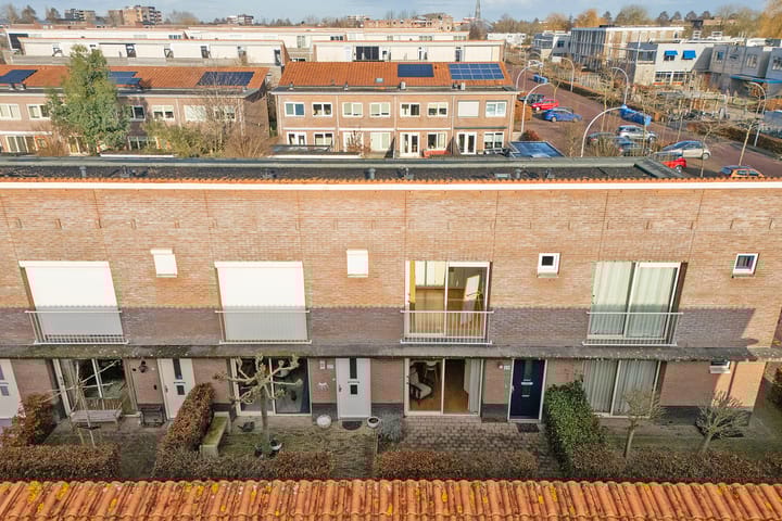 Foto 2 van Pluimzegge 29