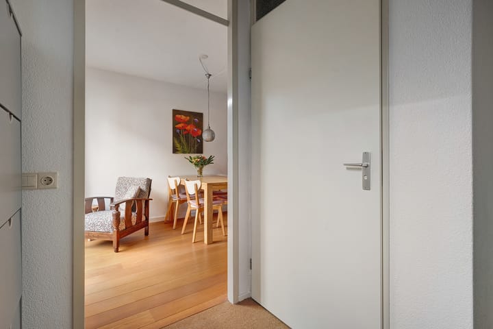 Foto 4 van Pluimzegge 29