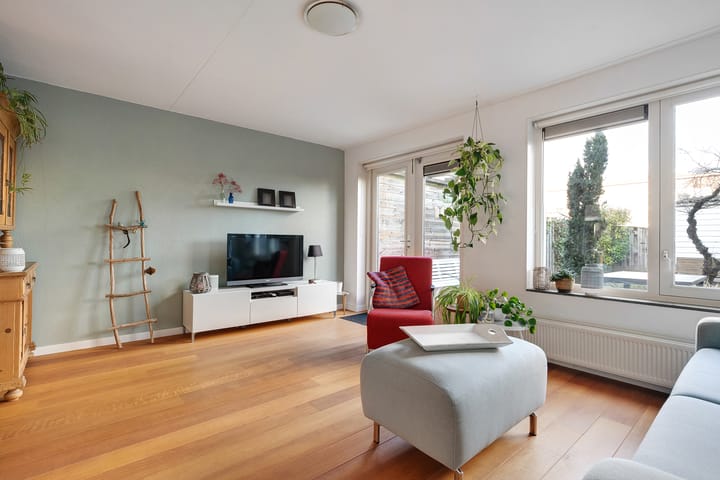 Photo 13 of Pluimzegge 29