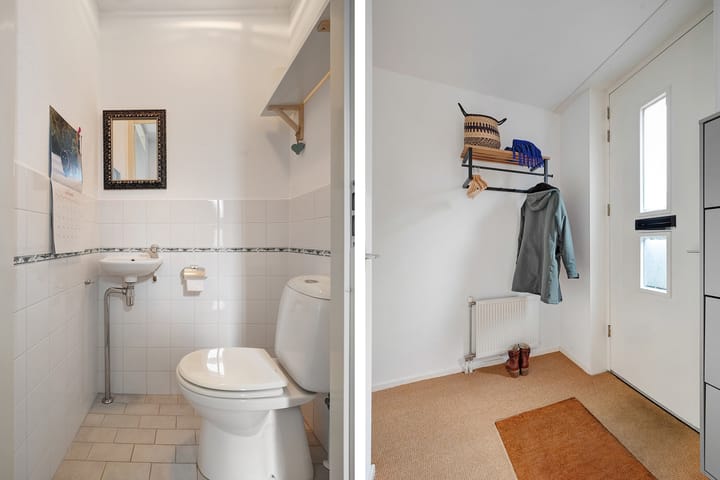 Photo 15 of Pluimzegge 29