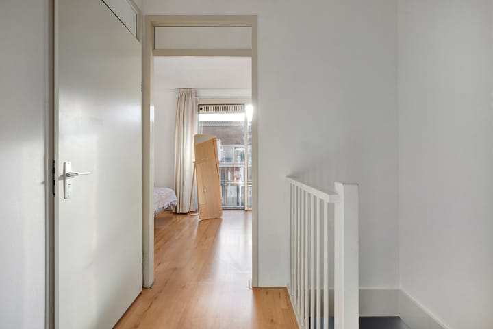 Photo 17 of Pluimzegge 29