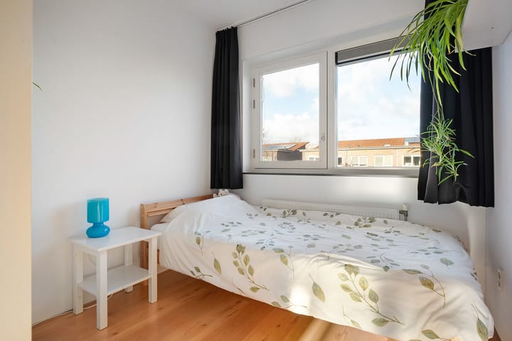 Photo 21 of Pluimzegge 29