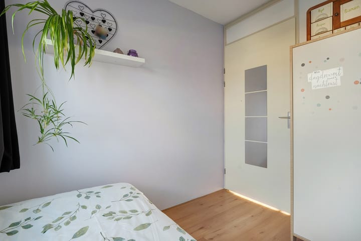 Photo 22 of Pluimzegge 29