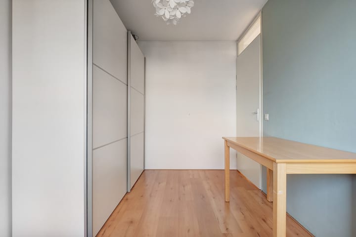 Photo 24 of Pluimzegge 29