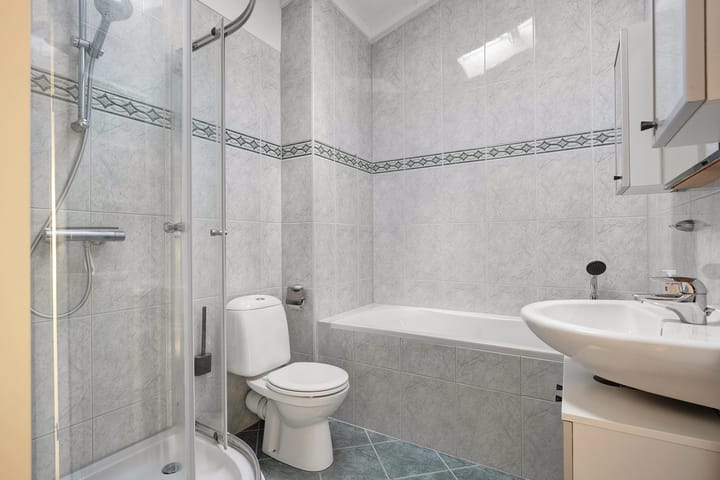 Photo 25 of Pluimzegge 29