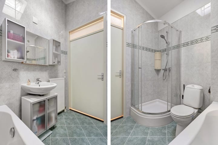 Photo 26 of Pluimzegge 29