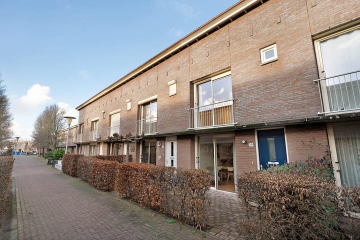 Photo 34 of Pluimzegge 29