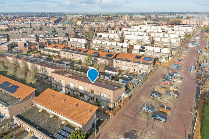 Photo 38 of Pluimzegge 29