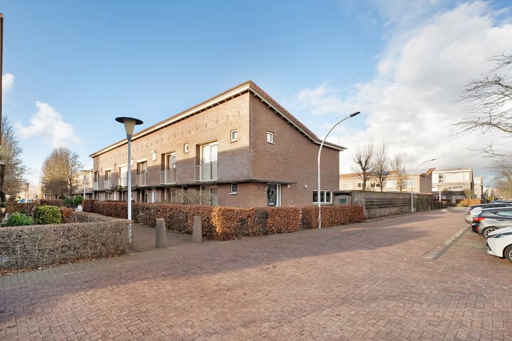 Photo 36 of Pluimzegge 29