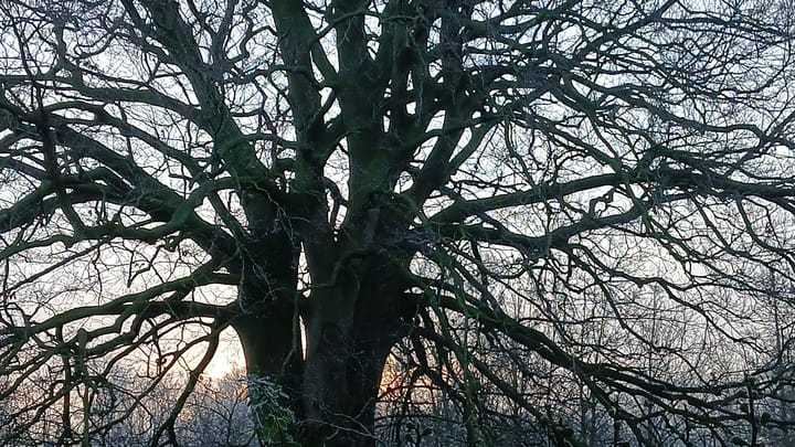 Foto 6 van Hoofdstraat 154