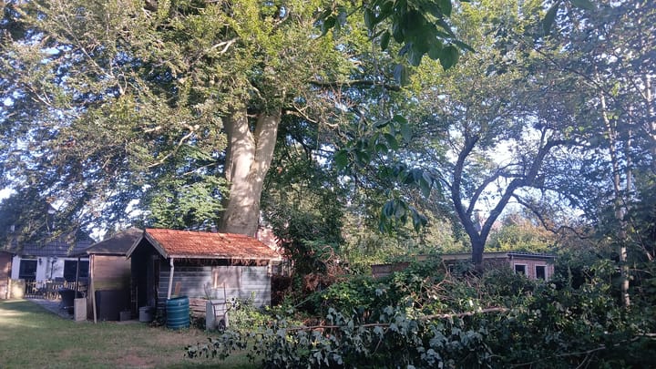 Foto 62 van Hoofdstraat 154