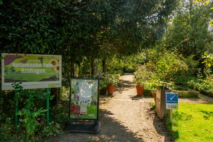 Foto 31 van Ebalstraat 11-A