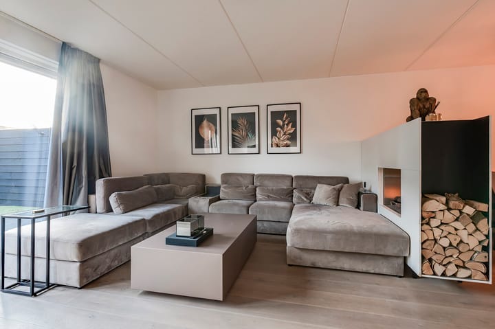 Foto 8 van Zanglijster 109