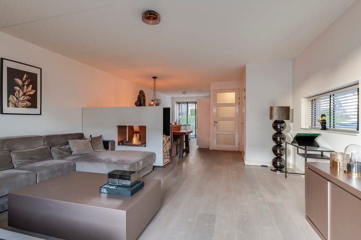 Foto 9 van Zanglijster 109