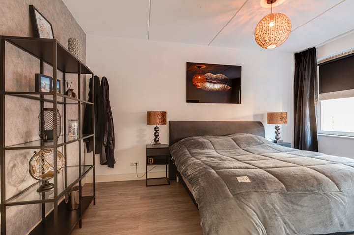 Foto 16 van Zanglijster 109