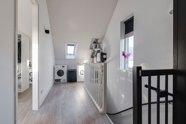 Foto 23 van Zanglijster 109