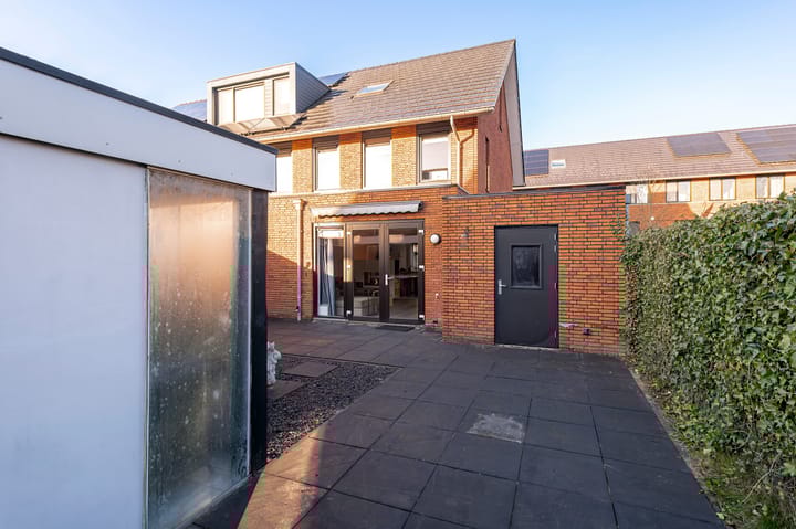 Foto 31 van Zanglijster 109