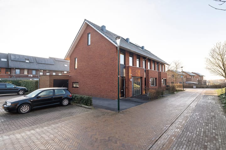 Foto 33 van Zanglijster 109