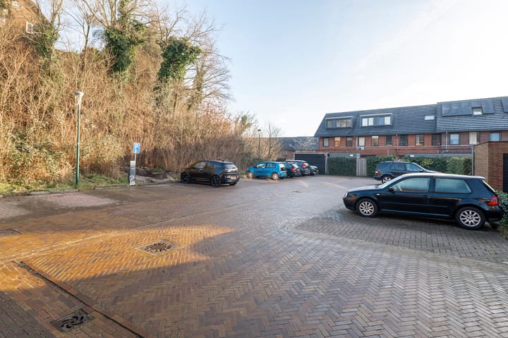 Foto 34 van Zanglijster 109