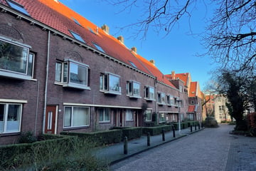 Gymnasiumstraat thumbnail