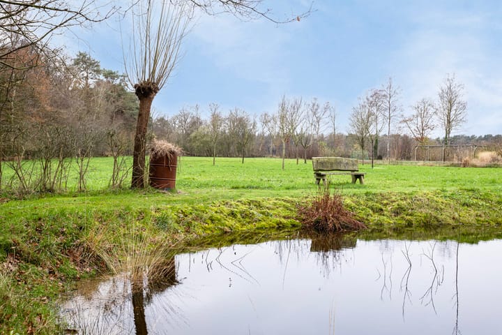 Foto 50 van Sarinkdijk 1