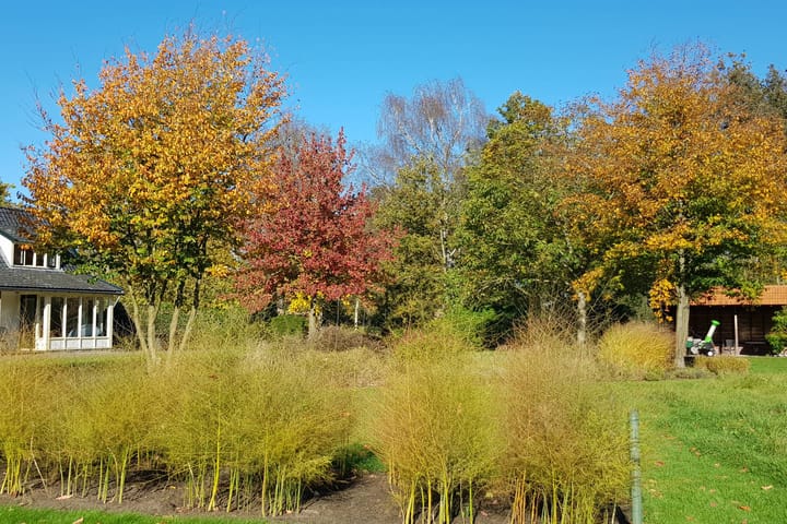 Foto 56 van Sarinkdijk 1