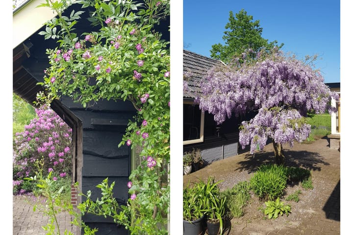 Foto 59 van Sarinkdijk 1