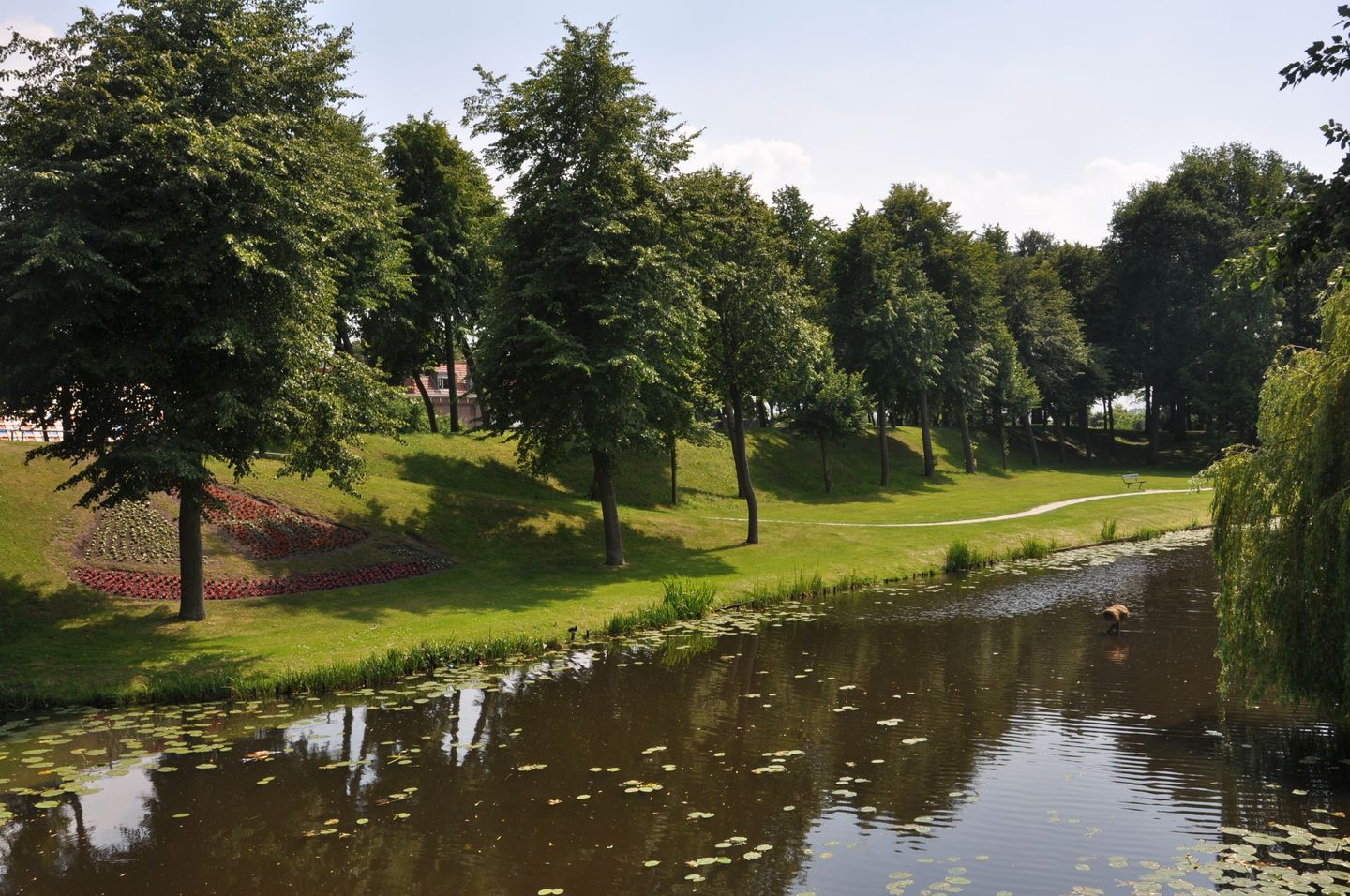 Photo 44 of Noorderwalstraat 33