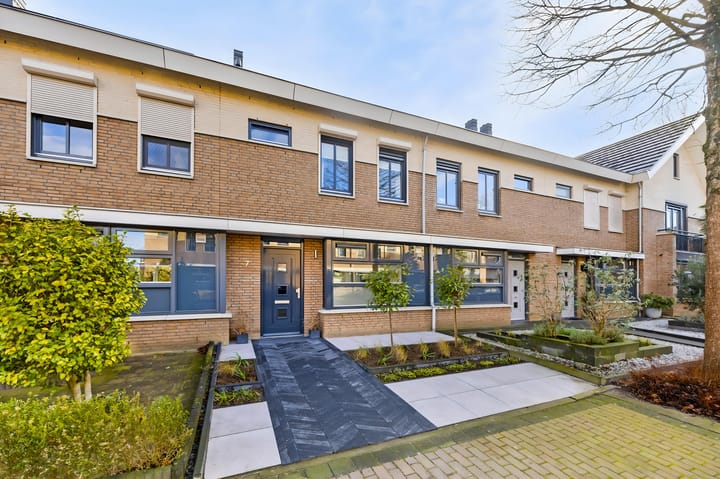 Foto 1 van Havikskruid 7