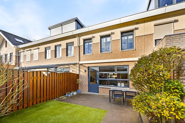 Foto 2 van Havikskruid 7