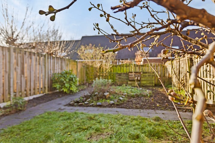 Foto 24 van Daverveld 15