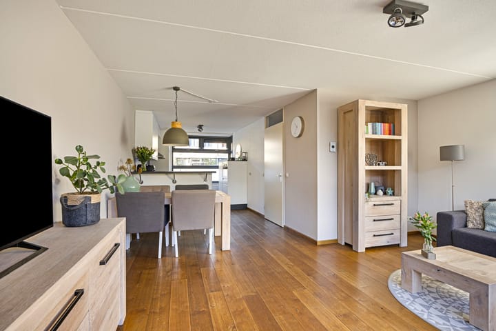 Foto 9 van Havikskruid 7