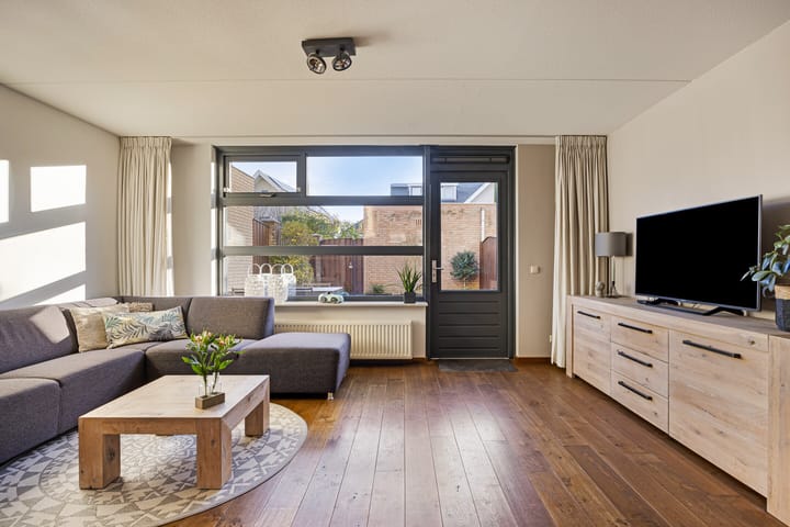 Foto 10 van Havikskruid 7