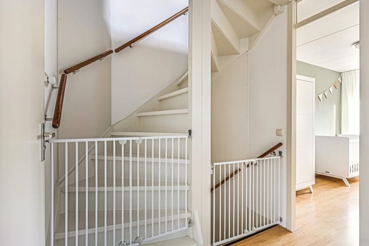 Foto 22 van Havikskruid 7